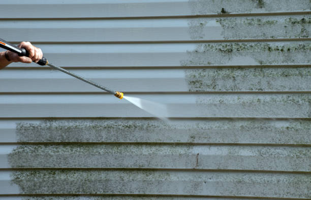 Best Roof Pressure Washing  in Lakewood, NY